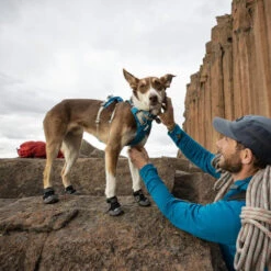 Ruffwear Grip Trex Boots -Heimtierbedarf Geschäft ruffwear grip trex boots 204740 0500 none