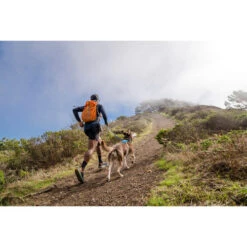 Ruffwear Hi & Light Harness 15 Ruffwear Hi & Light Harness -Heimtierbedarf Geschäft ruffwear hi light harness 196016 0500 none