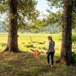 Ruffwear Knot-a-Hitch 8 Ruffwear Knot-a-Hitch -Heimtierbedarf Geschäft ruffwear knot a hitch 124643 0500 none