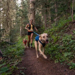 Ruffwear Roamer Leash - Blue Atoll -Heimtierbedarf Geschäft ruffwear roamer leash blue atoll 204797 0500 none