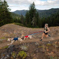 Ruffwear Roamer Leash - Blue Atoll -Heimtierbedarf Geschäft ruffwear roamer leash blue atoll 204800 0500 none