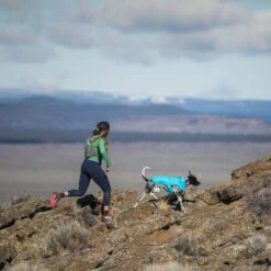 Ruffwear Wind Sprinter Jacket -Heimtierbedarf Geschäft ruffwear wind sprinter jacket 124694 0500 none