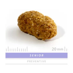 SANIMED Senior Dog -Heimtierbedarf Geschäft sanimed senior dog 159248 0500 none