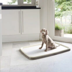 Savic Puppy Trainer + Pads -Heimtierbedarf Geschäft savic puppy trainer pads 163498 0500 none