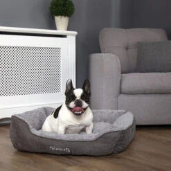 Scruffs Cosy Box Bett -Heimtierbedarf Geschäft scruffs cosy box bed 209468 0500 none