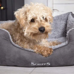 Scruffs Cosy Box Bett -Heimtierbedarf Geschäft scruffs cosy box bed 209483 0500 none
