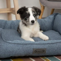 Scruffs Manhattan Box Bett -Heimtierbedarf Geschäft scruffs manhattan box bed 209507 0500 none
