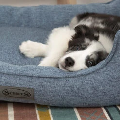 Scruffs Manhattan Box Bett -Heimtierbedarf Geschäft scruffs manhattan box bed 209510 0500 none