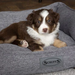 Scruffs Manhattan Box Bett -Heimtierbedarf Geschäft scruffs manhattan box bed 209513 0500 none