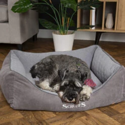 Scruffs Thermal Box Bed 9 Scruffs Thermal Box Bed -Heimtierbedarf Geschäft scruffs thermal box bed 190825 0500 none