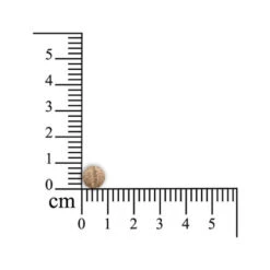 Sensipharm Sneeze Aid Katze -Heimtierbedarf Geschäft sensipharm sneeze aid kat 174685 0500 none