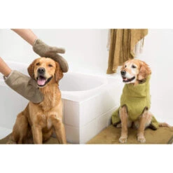 Siccaro DryGlove 7 Siccaro DryGlove -Heimtierbedarf Geschäft siccaro dryglove 196901 0500 none