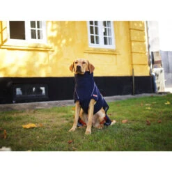 Siccaro WetDog SupremePro 13 Siccaro WetDog SupremePro -Heimtierbedarf Geschäft siccaro wetdog supremepro 20 216994 0500 none