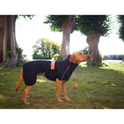 Siccaro WetDog SupremePro 11 Siccaro WetDog SupremePro -Heimtierbedarf Geschäft siccaro wetdog supremepro 20 216995 0500 none