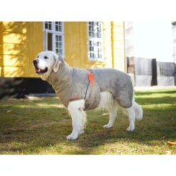 Siccaro WetDog SupremePro 10 Siccaro WetDog SupremePro -Heimtierbedarf Geschäft siccaro wetdog supremepro 20 216997 0500 none