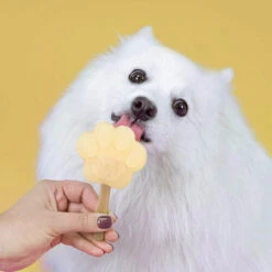 Smoofl Hundeeis Starter Kit -Heimtierbedarf Geschäft smoofl dog ice starter kit 195155 0500 none