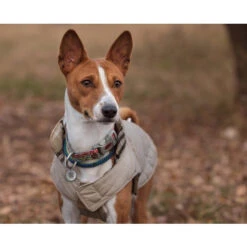 Spotted! Pro Dog & Cat 9 Spotted! Pro Dog & Cat -Heimtierbedarf Geschäft spotted pro dog cat 166918 0500 none