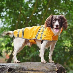 Sötnos Hunderegenmantel -Heimtierbedarf Geschäft stnos hondenregenjas 130475 0500 none