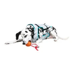 Suitical DRY Cooling Vest -Heimtierbedarf Geschäft suitical dry cooling vest 149882 0500 none