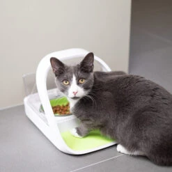 Surefeed Connect Mikrochip-Futterautomat -Heimtierbedarf Geschäft surefeed microchip voerbak connect 221217 0500 none