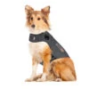 Thundershirt Für Hunde -Heimtierbedarf Geschäft thundershirt hond 215942 0500 none