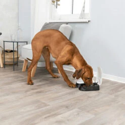 Trixie Doppel-Futterautomat TX2 -Heimtierbedarf Geschäft trixie dubbele voederautomaat tx2 170914 0500 none