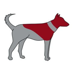 Trixie Aufblasbare Halskrause -Heimtierbedarf Geschäft trixie opblaasbare beschermkraag 101866 0500 none