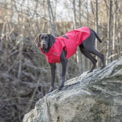 Trixie Regenjacke Vimy -Heimtierbedarf Geschäft trixie regenjas vimy 204854 0500 none