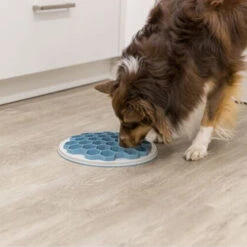 Trixie Slow Feeding Futterplatte Hive 9 Trixie Slow Feeding Futterplatte Hive -Heimtierbedarf Geschäft trixie slow feeding voederbak bijenkorf 205454 0500 none