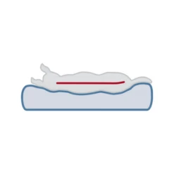 Trixie Vital Orthopädische Matratze Lonni 26 Trixie Vital Orthopädische Matratze Lonni -Heimtierbedarf Geschäft trixie vital ligmat lonni 217058 0500 none