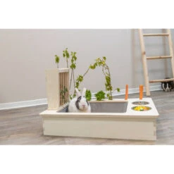 Trixie Futterstation Für Nager -Heimtierbedarf Geschäft trixie voederstation voor knaagdieren 207428 0500 none