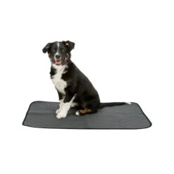 Trixie Hygiene Unterlage Nappy Wash -Heimtierbedarf Geschäft trixie zindelijkheidsmat nappy wasbaar 167188 0500 none