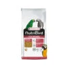 Versele-Laga Nutribird P19 Original 1 Versele-Laga Nutribird P19 Original -Heimtierbedarf Geschäft versele laga nutribird p19 original kweek 201542 0500 none