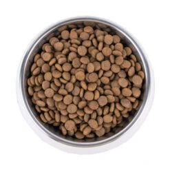 Vetality Hypoallergenic - Hundefutter -Heimtierbedarf Geschäft vetality hypoallergenic hondenvoer 195278 0500 none