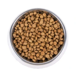 Vetality Metabolic & Mobility - Hundefutter -Heimtierbedarf Geschäft vetality metabolic mobility hondenvoer 195275 0500 none