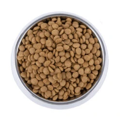 Vetality Skin Support - Hundefutter -Heimtierbedarf Geschäft vetality skin support hondenvoer 195221 0500 none