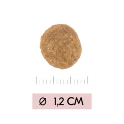 Vetality Skin Support - Hundefutter -Heimtierbedarf Geschäft vetality skin support hondenvoer 195452 0500 none