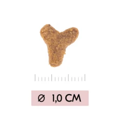 Vetality Skin Support - Katzenfutter -Heimtierbedarf Geschäft vetality skin support kattenvoer 217723 0500 none