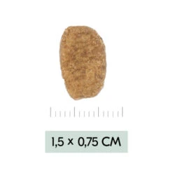 Vetality Weight Management - Hundefutter -Heimtierbedarf Geschäft vetality weight management hondenvoer 195455 0500 none