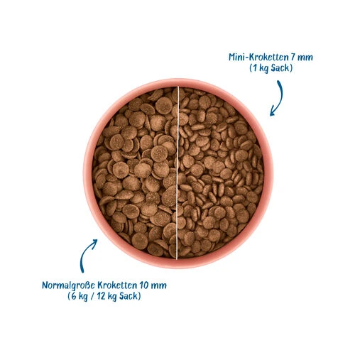 WOW! Hundefutter Junior 4 WOW! Hundefutter Junior – Bild 2