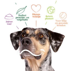 Yarrah - Bio Trockenfutter Vega Getreidefrei -Heimtierbedarf Geschäft yarrah bio droogvoer hond vega graanvrij 201212 0500 none