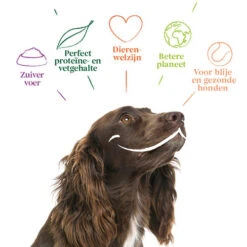 Yarrah - Hundefutter In Soße Vega Mit Hagebutten Bio -Heimtierbedarf Geschäft yarrah bio natvoer hond kuipje chunks vega 200843 0500 none