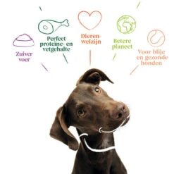 Yarrah - Getreidefreies Trockenfutter Bio 9 Yarrah - Getreidefreies Trockenfutter Bio -Heimtierbedarf Geschäft yarrah droogvoer hond graanvrij bio 201170 0500 none