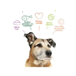 Yarrah - Trockenfutter Senior Mit Huhn, Fisch Und Kräutern Bio -Heimtierbedarf Geschäft yarrah droogvoer hond senior bio 201146 0500 none