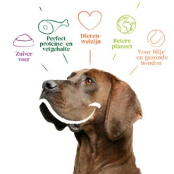 Yarrah - Trockenfutter Sensitiv Mit Huhn Und Reis Bio 9 Yarrah - Trockenfutter Sensitiv Mit Huhn Und Reis Bio -Heimtierbedarf Geschäft yarrah droogvoer hond sensitive bio 199148 0500 none