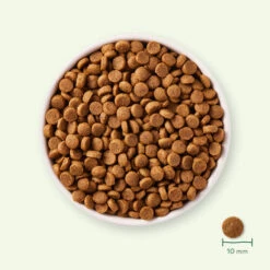 Yarrah - Trockenfutter Für Welpen Mit Huhn Bio 7 Yarrah - Trockenfutter Für Welpen Mit Huhn Bio -Heimtierbedarf Geschäft yarrah droogvoer puppy bio 199694 0500 none