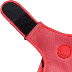 Zee.Dog Adjustable Air Mesh Harness -Heimtierbedarf Geschäft zeedog adjustable air mesh harness 215576 0500 none