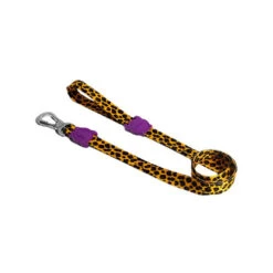Zee.Dog Dog Leash 20 Zee.Dog Dog Leash -Heimtierbedarf Geschäft zeedog dog leash 201476 0500 none