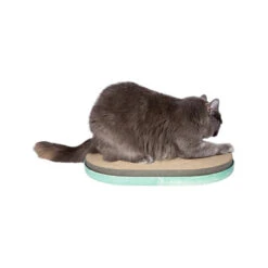 Zee.dog Scratcher -Heimtierbedarf Geschäft zeedog scratcher 201866 0500 none