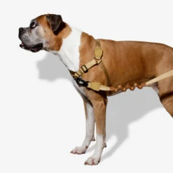 Zee.Dog Soft Walk Harness -Heimtierbedarf Geschäft zeedog soft walk harness 200678 0500 none